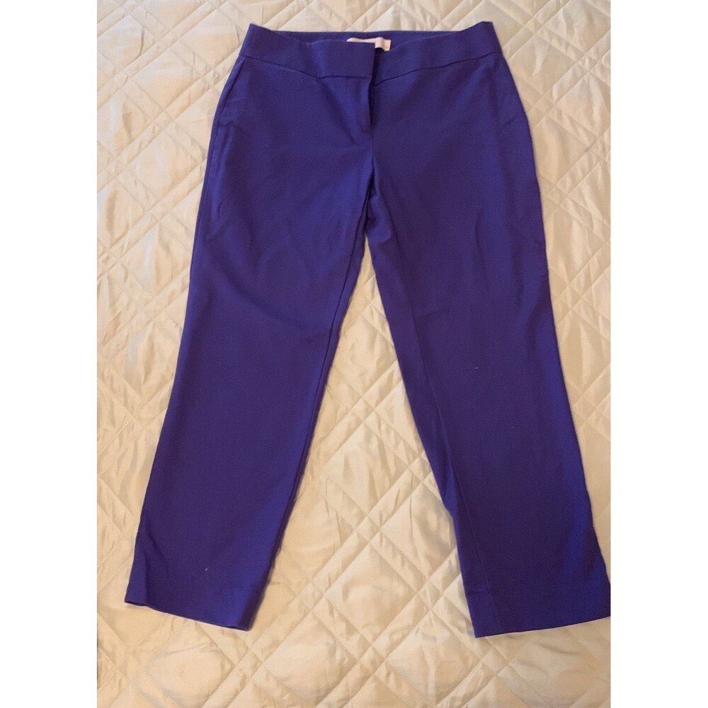 Loft Marisa Pants, Blue size 2P